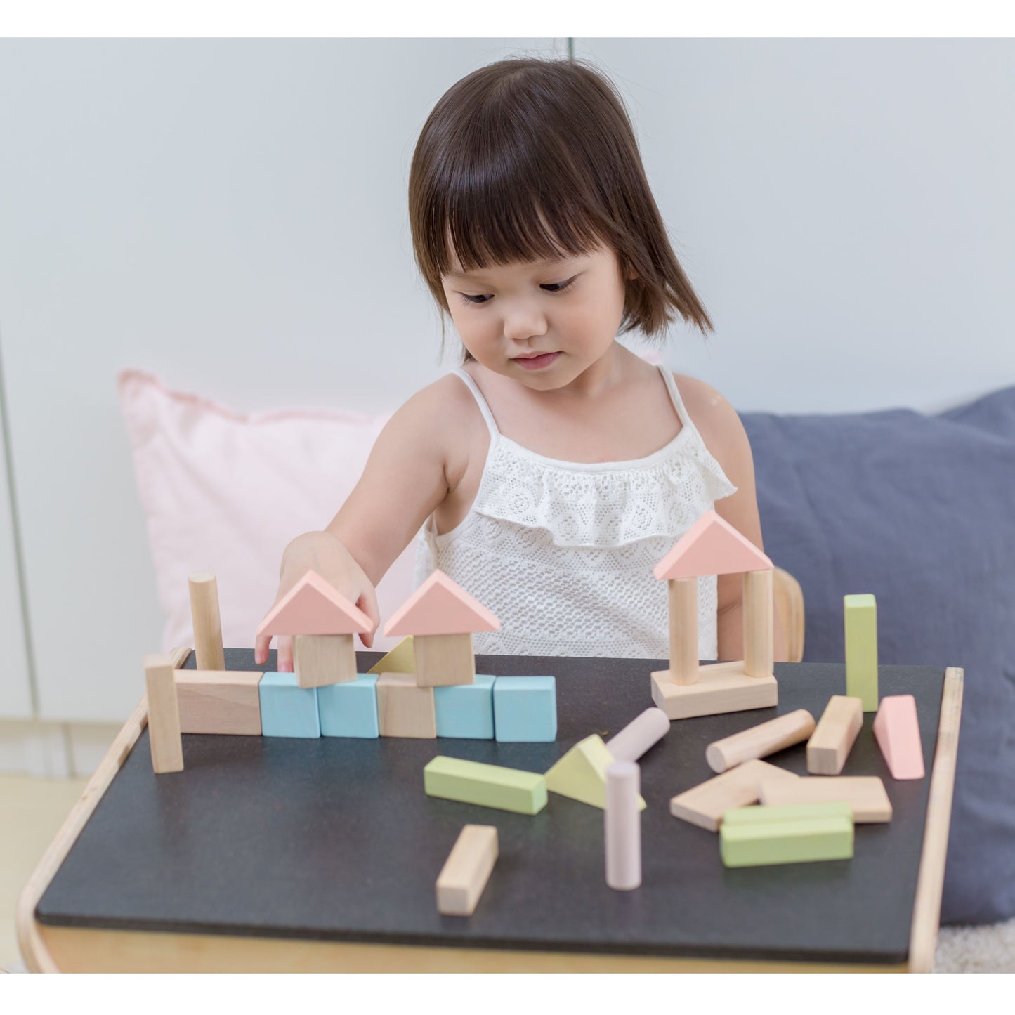 PlanToys 40 blocs